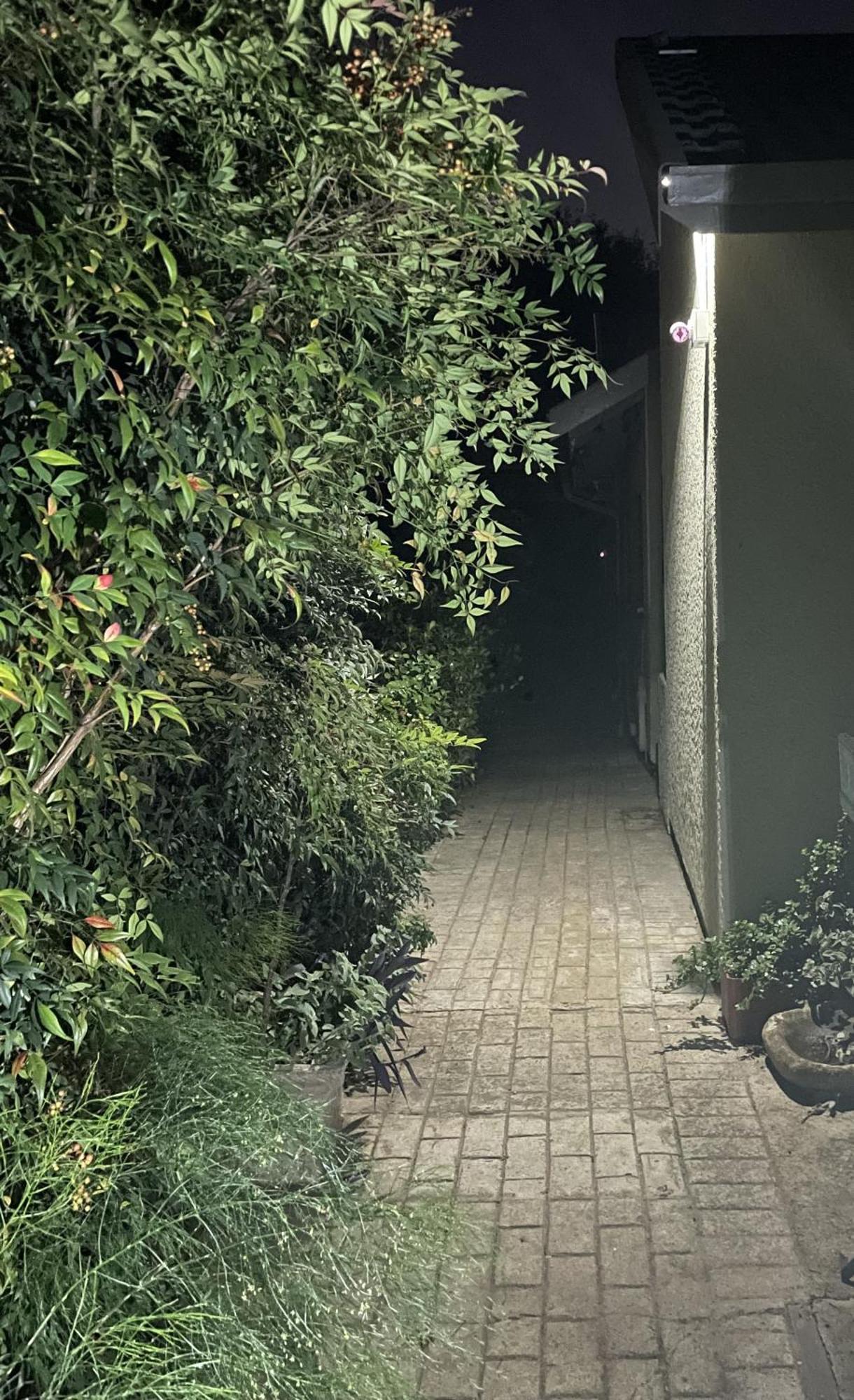Celtis Lane Guest House Boksburg Esterno foto