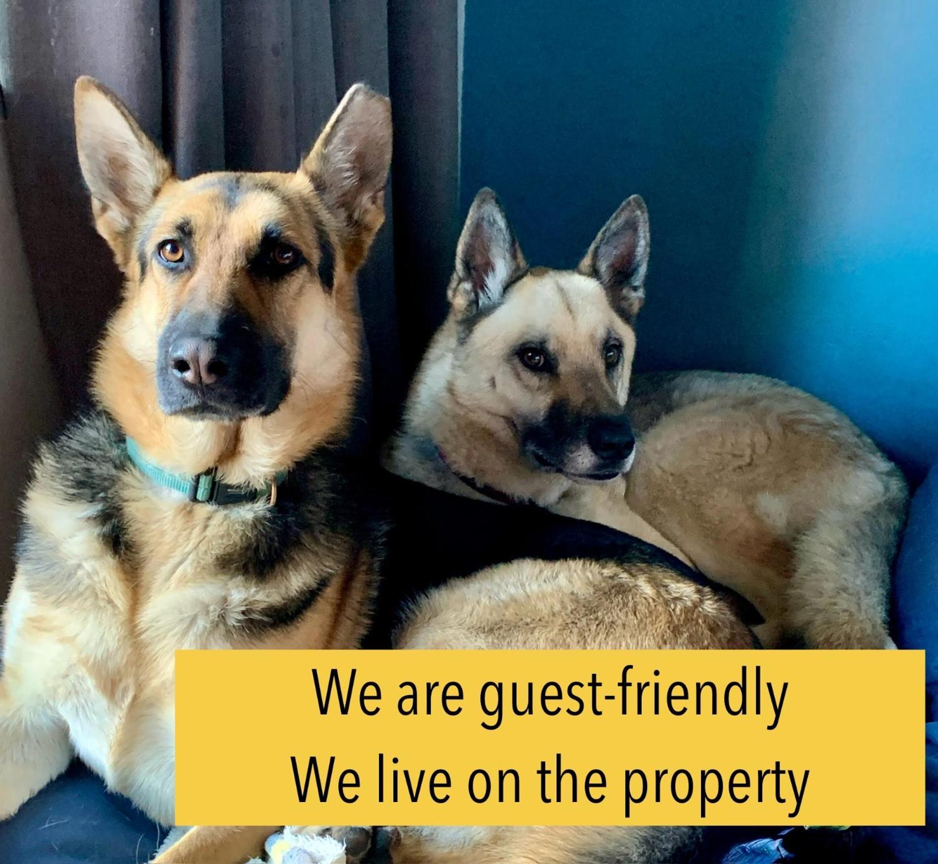 Celtis Lane Guest House Boksburg Esterno foto